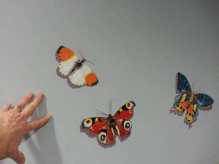 3 butterflies orange tip peacock and exotic moth - Jules Hoare