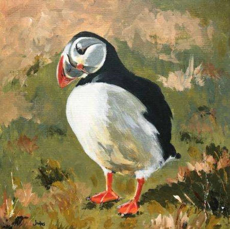 Puffin - Jules Hoare