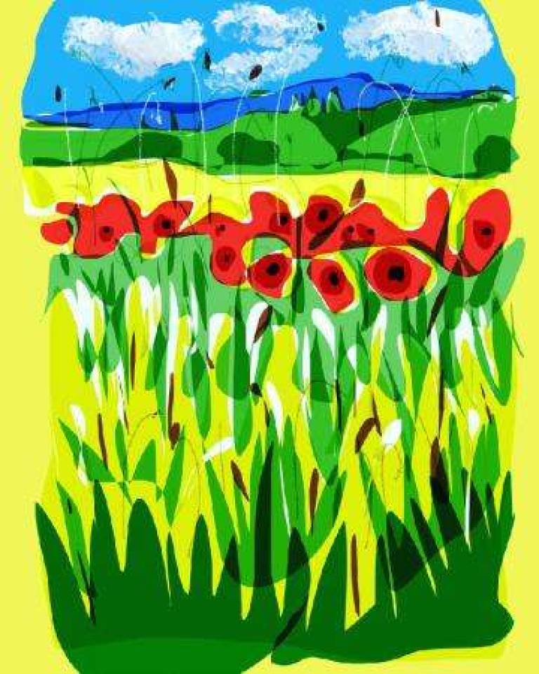 Poppy Field - Jules Hoare