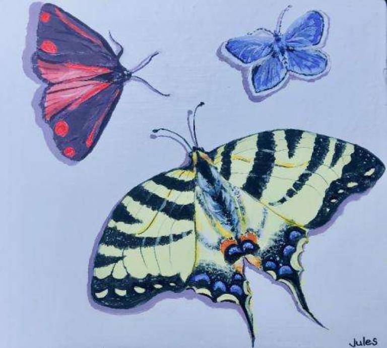 Butterflies - Jules Hoare