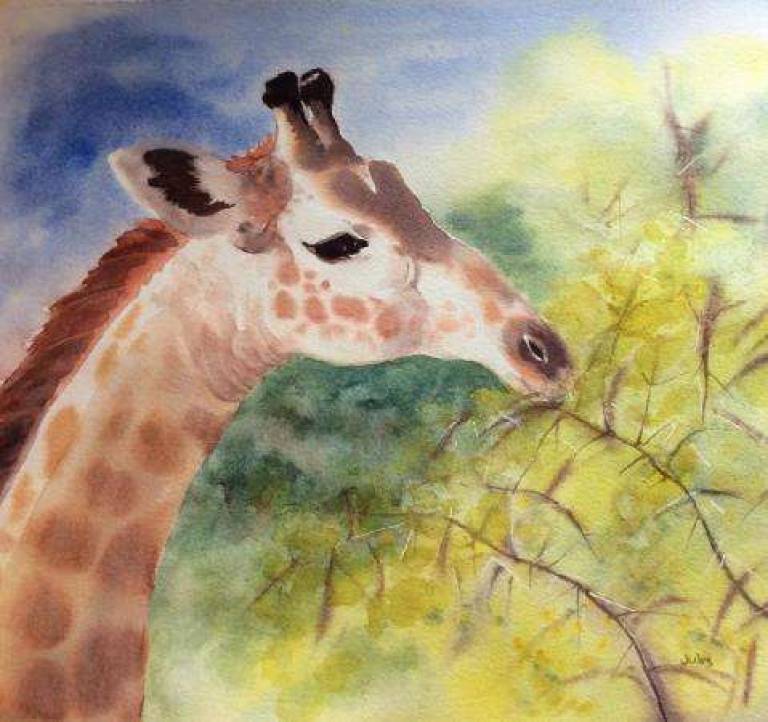 Young Giraffe - Jules Hoare