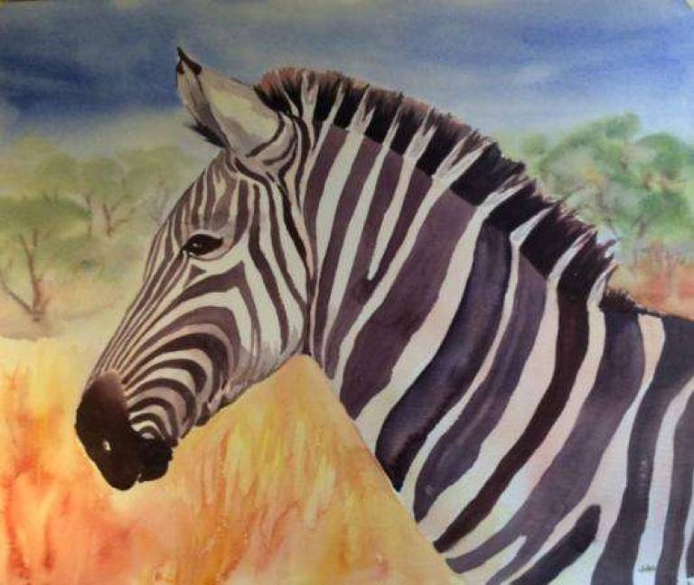 Zebra Head - Jules Hoare
