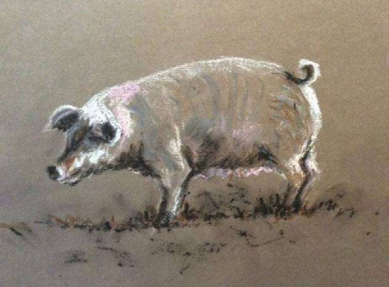 Piggy on the farm - Jules Hoare