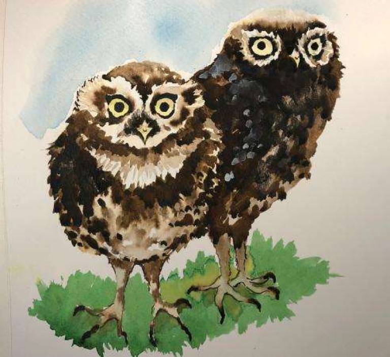 Little Owls - Jules Hoare