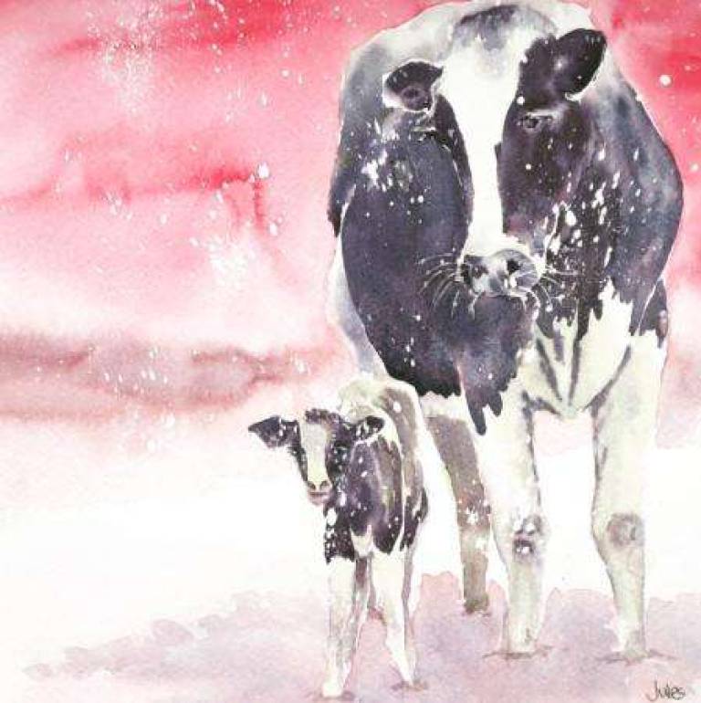 Snowy cows - Jules Hoare