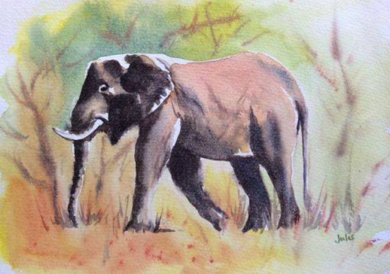 Elephant in the bush - Jules Hoare