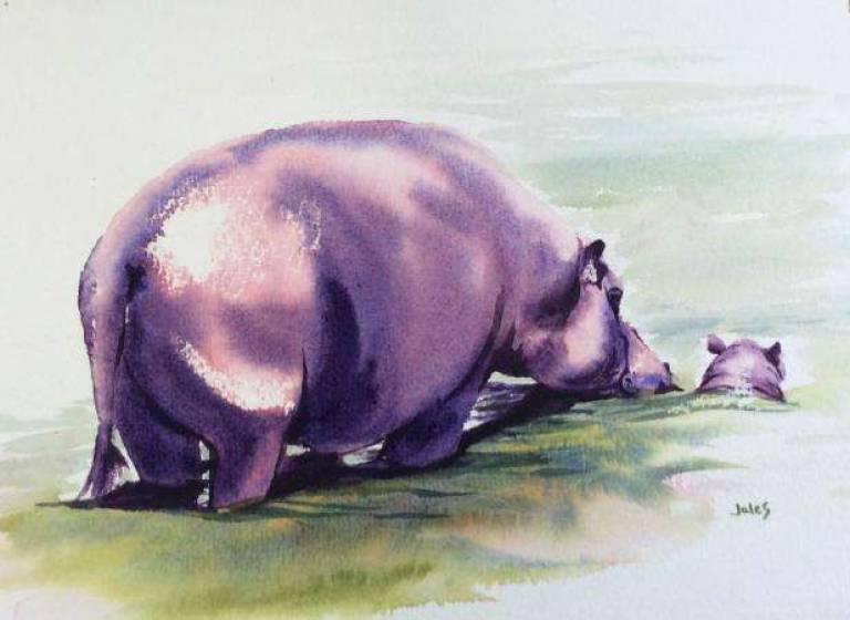 HIppo and baby - Jules Hoare