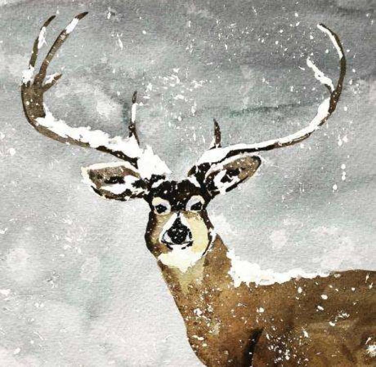 Snowy Stag - Jules Hoare