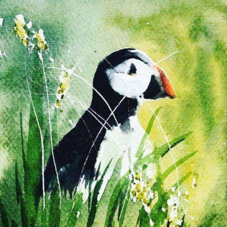 Puffin on Staffa Island - Jules Hoare