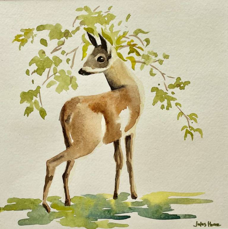 Deer in our garden - Jules Hoare