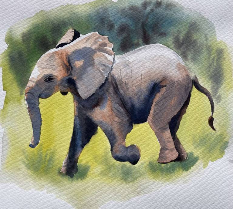 Playful young ellie - Jules Hoare