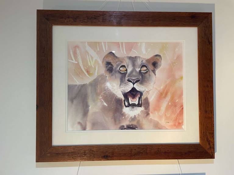 Lioness - Jules Hoare