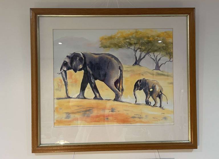 Elephant and calf - Jules Hoare