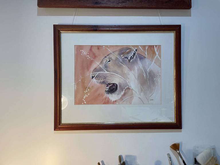 Lioness with grasses - Jules Hoare