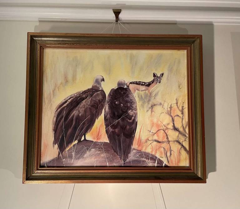 Drama in the bush - Jules Hoare