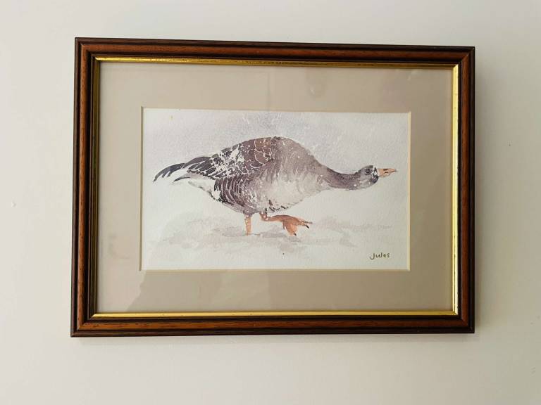 Snowy goose - Jules Hoare
