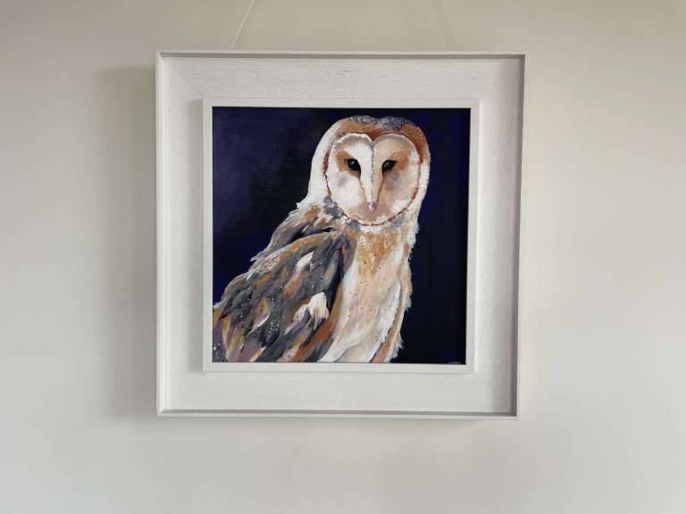 Barn Owl - Jules Hoare