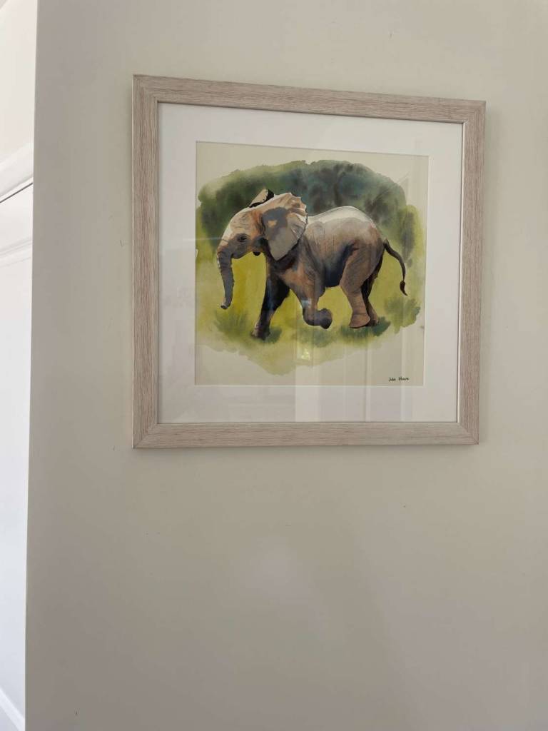 Playful young ellie - Jules Hoare