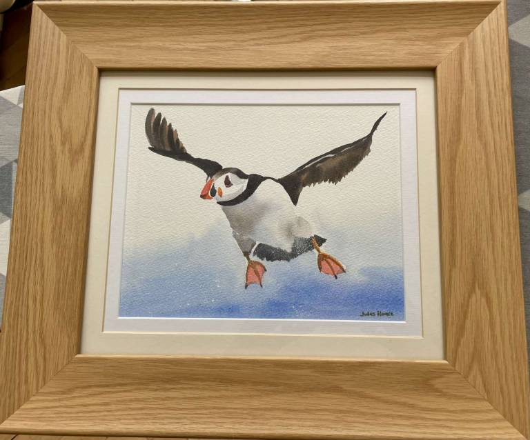 Puffin - Jules Hoare