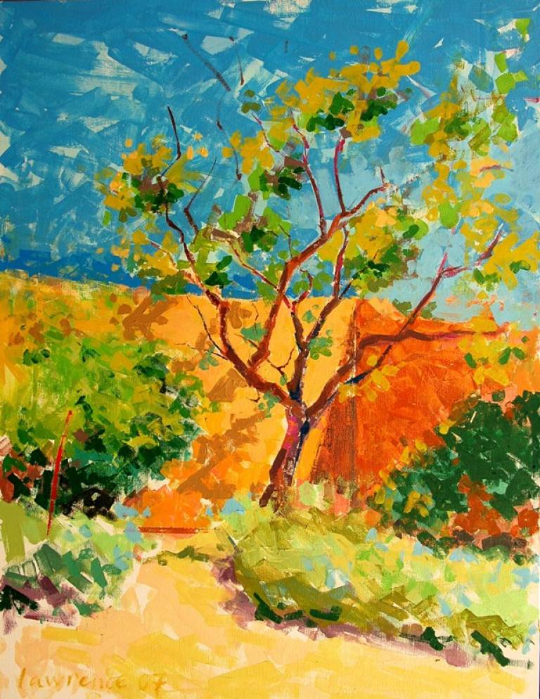 Garden at Zejtun - Lawrence Buttigieg
