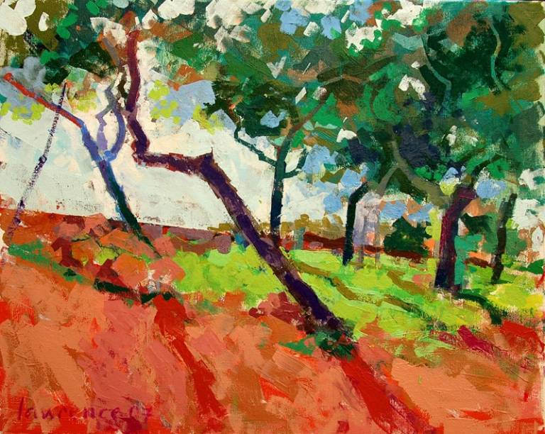 Trees at Saqqajja Hill, Rabat - Lawrence Buttigieg