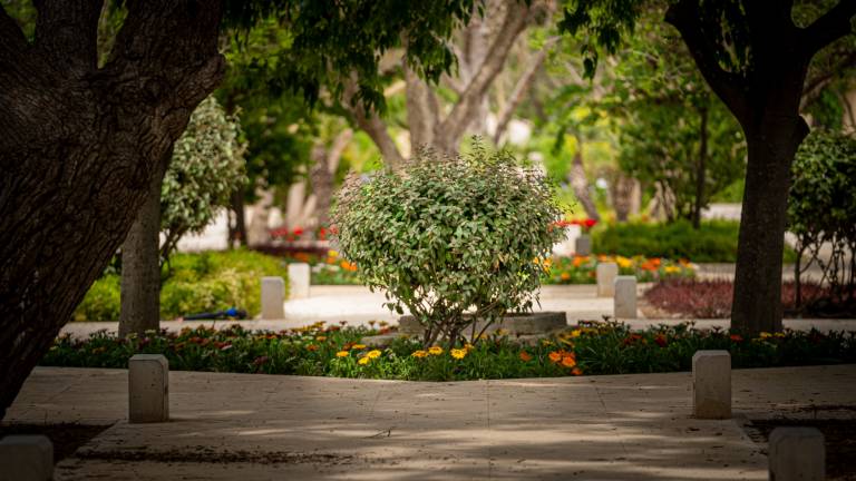 Formal garden, ta' Qali [detail] - Lawrence Buttigieg