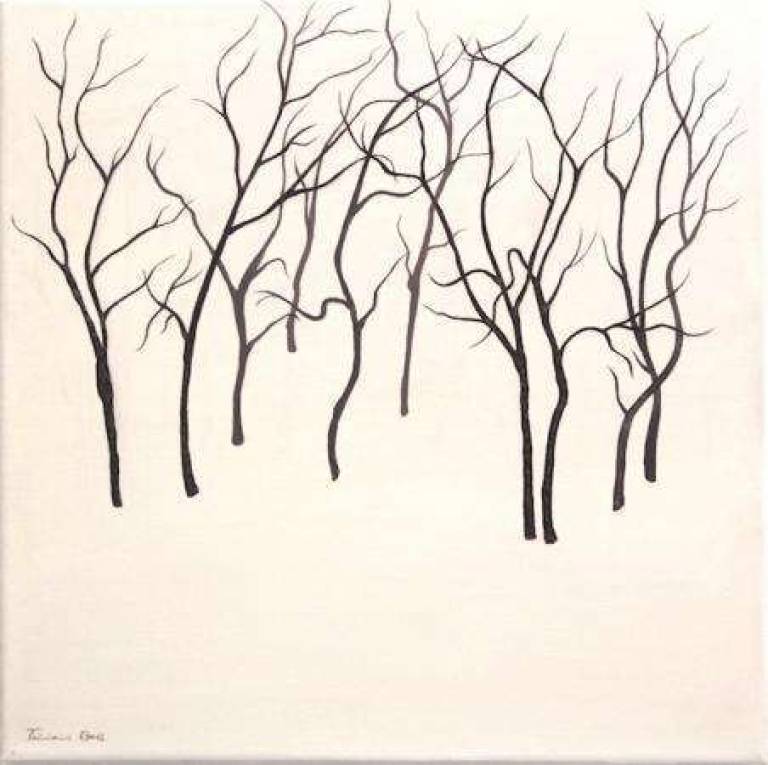 RECENT COLLECTIONS - 