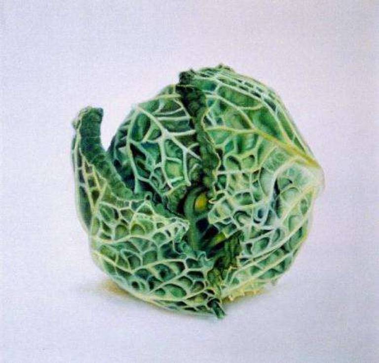 VEGIES - 