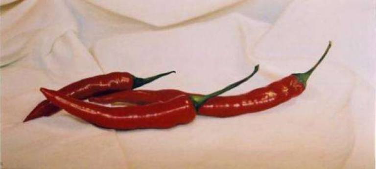 Chillies on White Cloth - Trinidad Ball