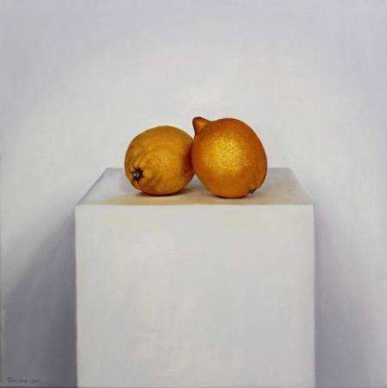 Elevated Lemons III - Trinidad Ball
