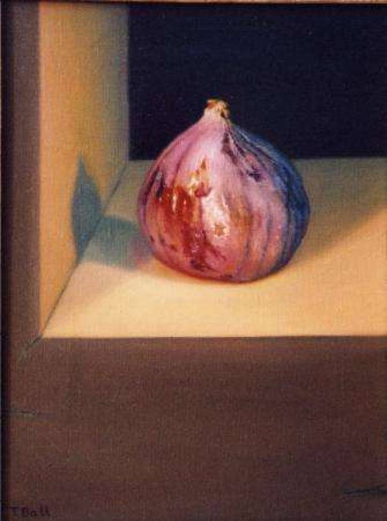 Fig - Trinidad Ball