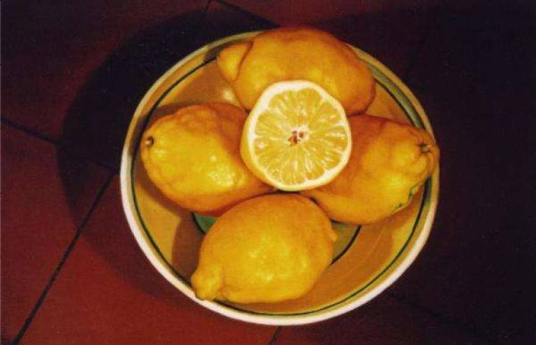Five Lemons - Trinidad Ball
