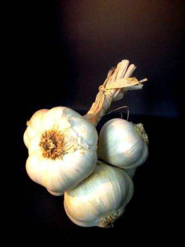 Garlic on Black - Trinidad Ball