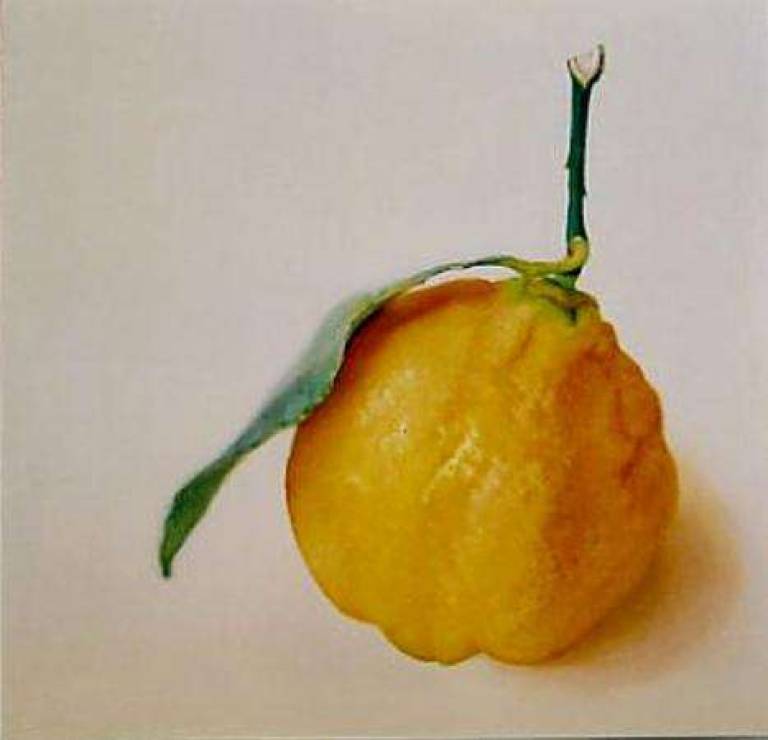 Lemon - Trinidad Ball
