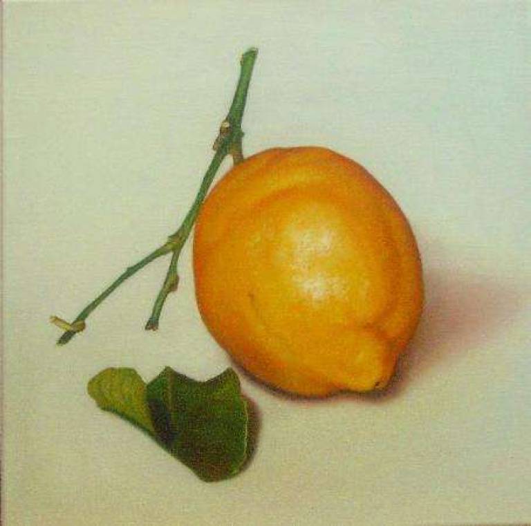 Lemon with Leaf - Trinidad Ball