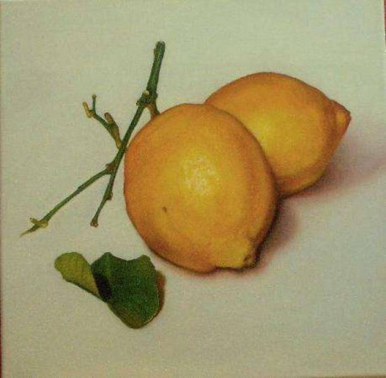 Lemons with Leaf - Trinidad Ball