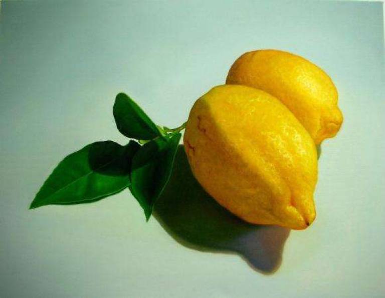 Lemons with Leaves - Trinidad Ball