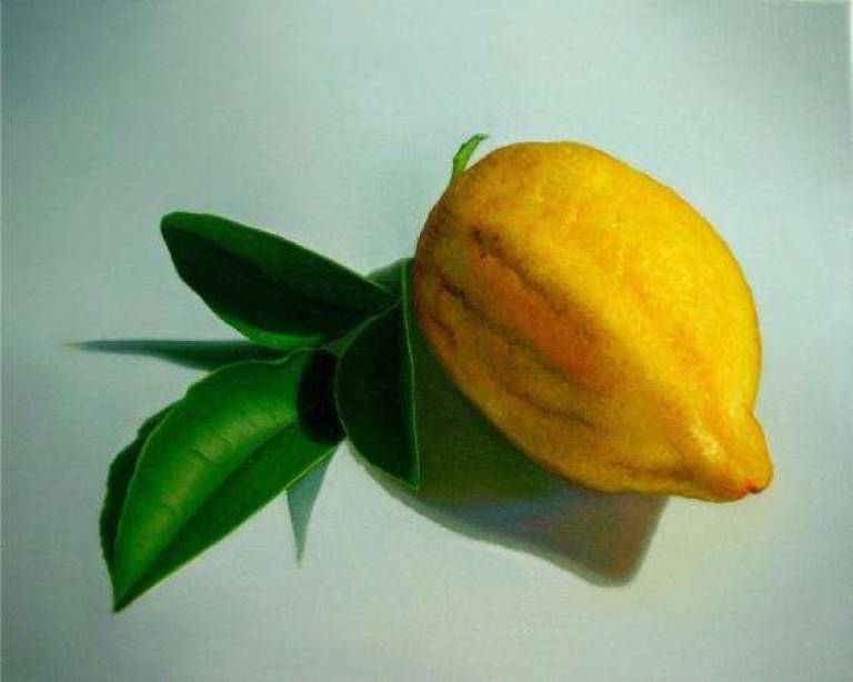 Lemon with Leaves - Trinidad Ball