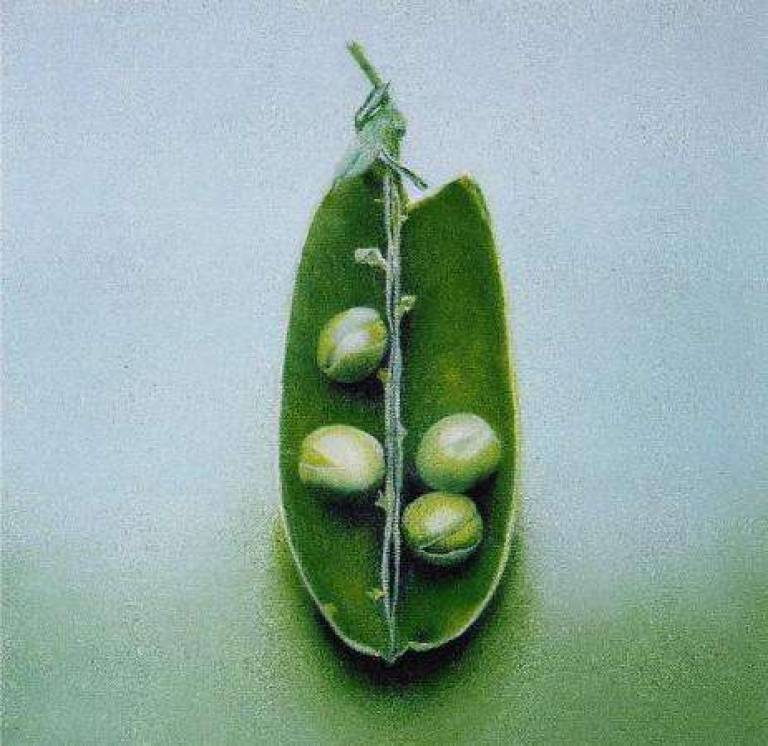 Peas in a Pod - Trinidad Ball
