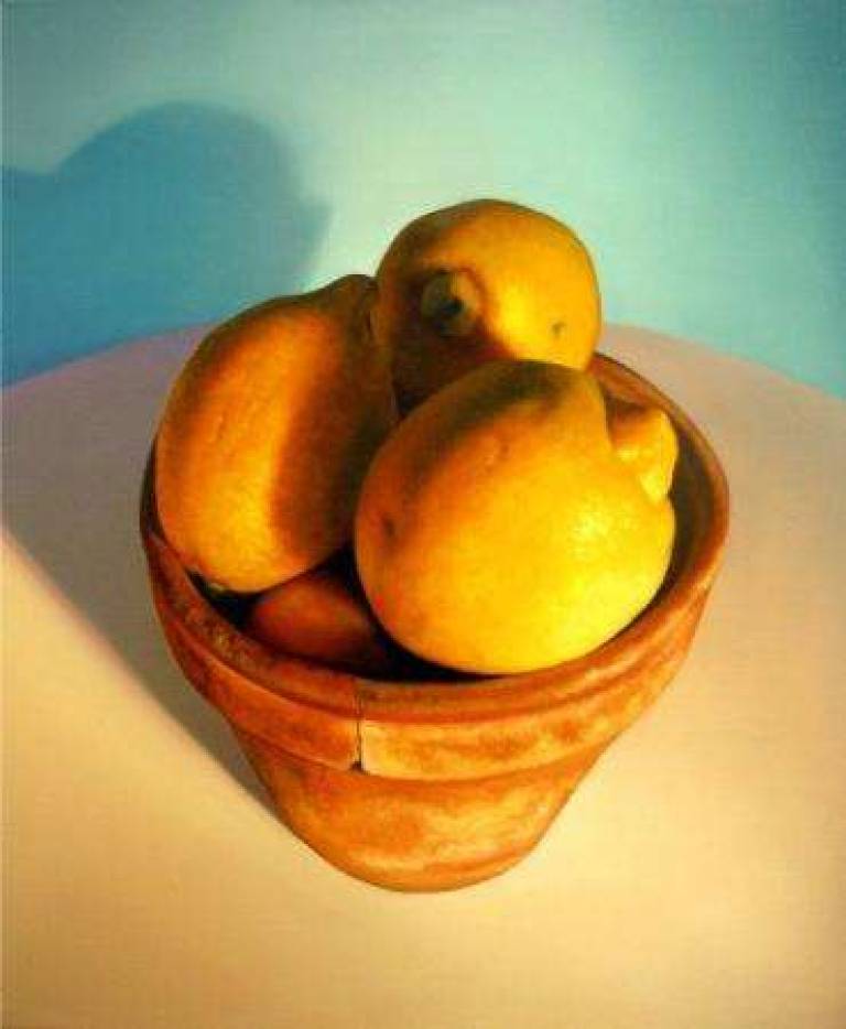 Potted Lemons - Trinidad Ball