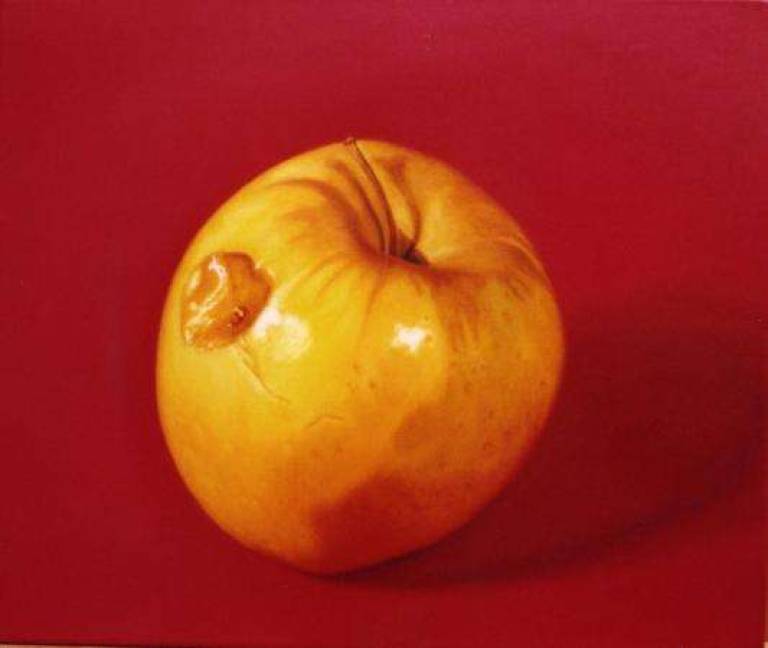 Rotting Golden Apple - Trinidad Ball