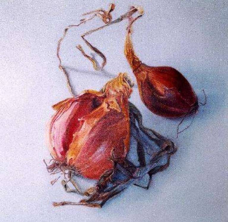 Shallots - Trinidad Ball