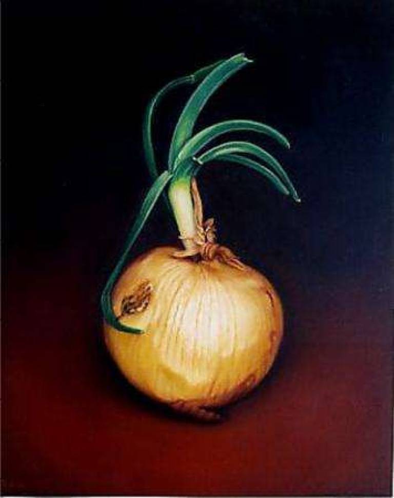 Sprouting Onion - Trinidad Ball