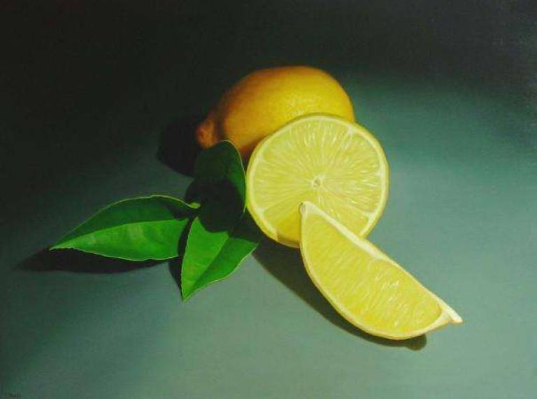 The Inner Life of Lemons I - Trinidad Ball