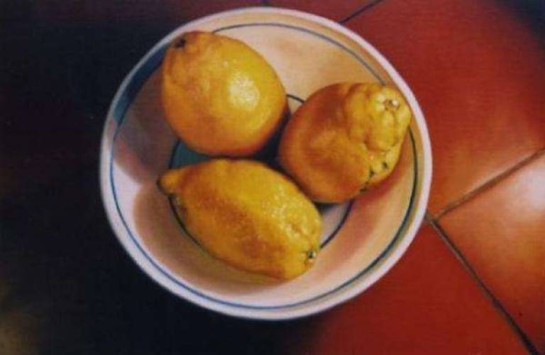 Three Lemons in a Bowl - Trinidad Ball
