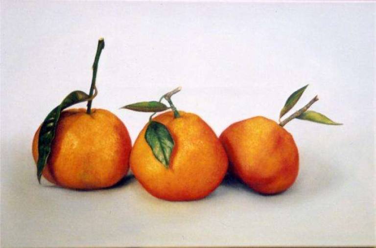 Three Oranges - Trinidad Ball