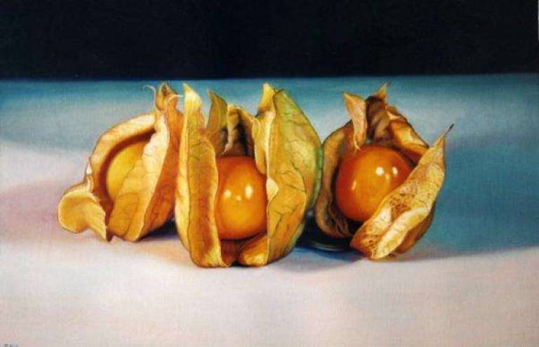 Three Physillis - Trinidad Ball