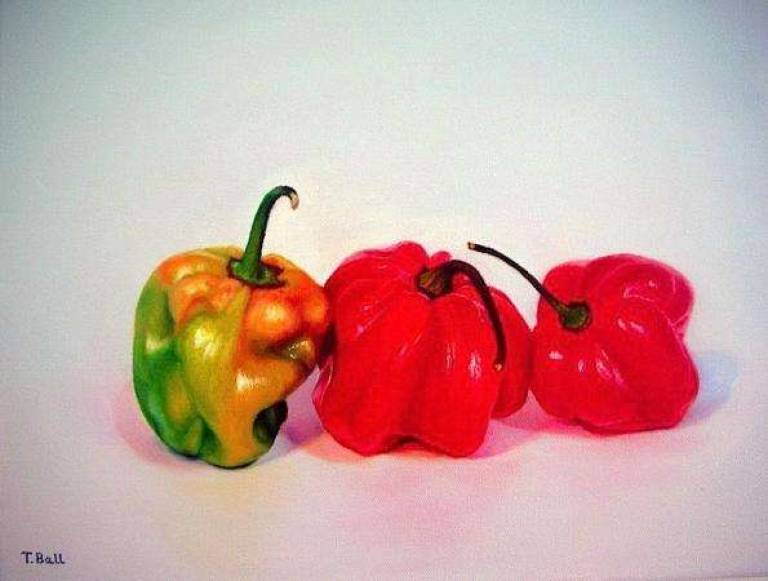 Trinidadian Chillies - Trinidad Ball