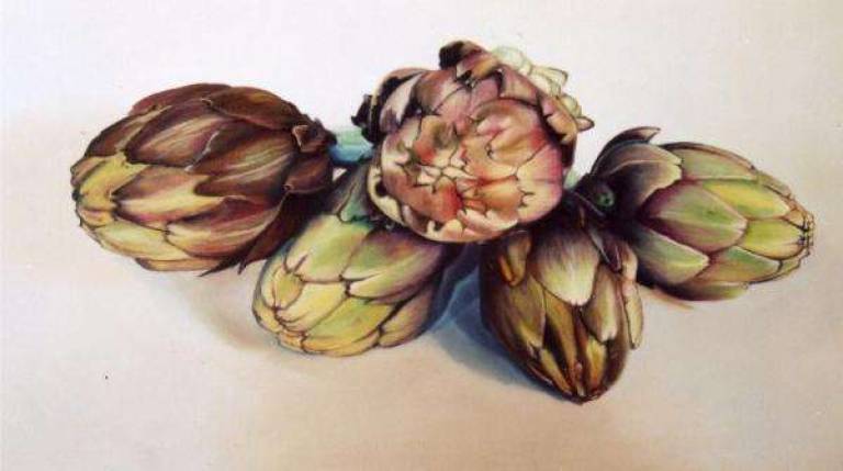 Artichokes - Trinidad Ball