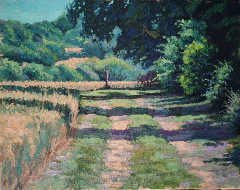 Landscapes - 